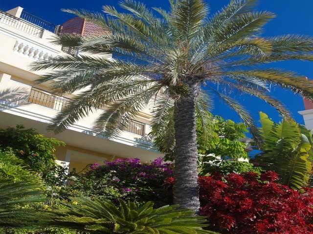 Apartamentos Granada Park Playa de las Americas  Exterior photo
